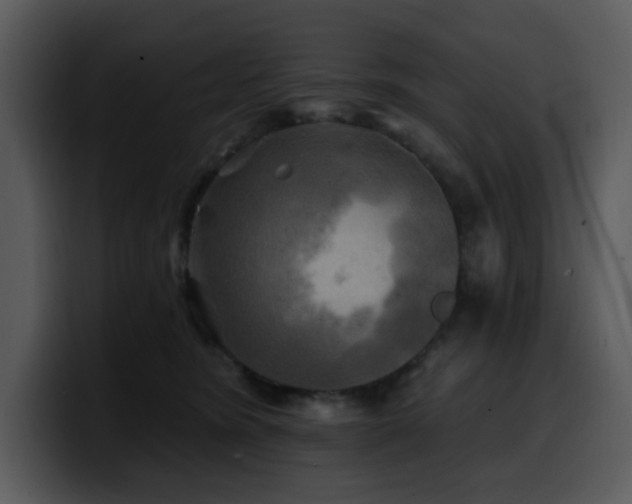 X0000100780420200806191307