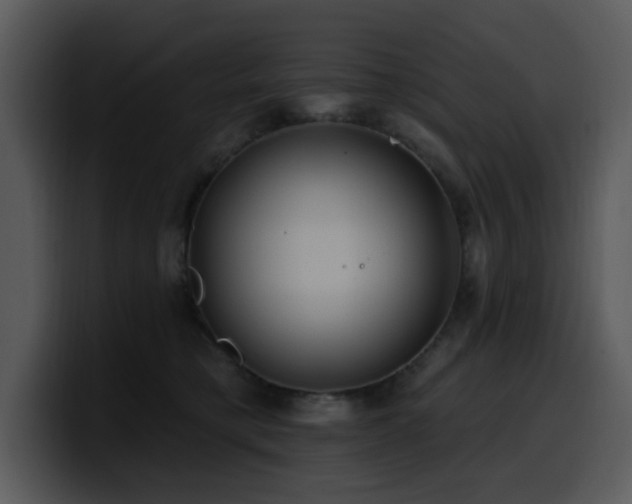 X0000100780421200806191306