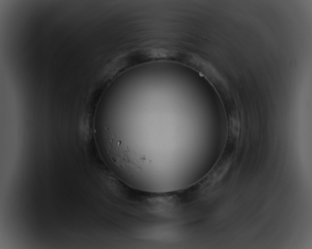 X0000100780422200806191306