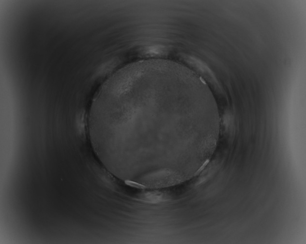 X0000100780423200806191306