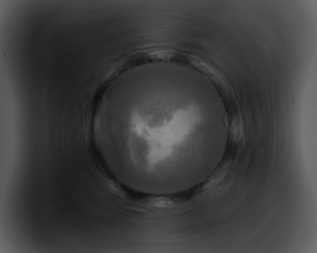 X0000100780424200806191306