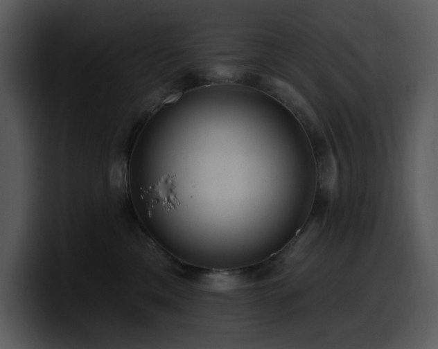 X0000100780425200806191306