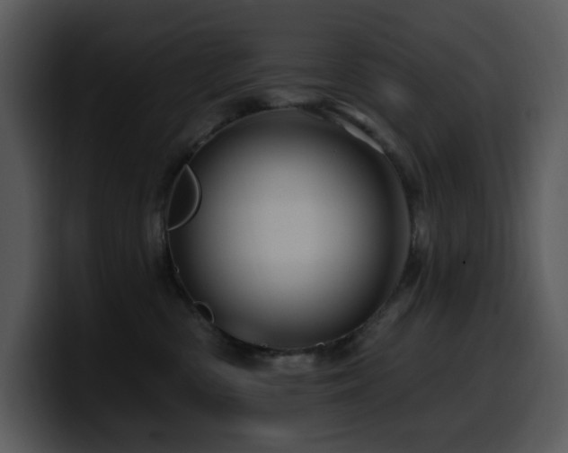 X0000100780426200806191306