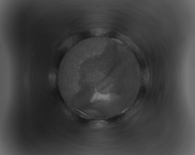 X0000100780427200806191306