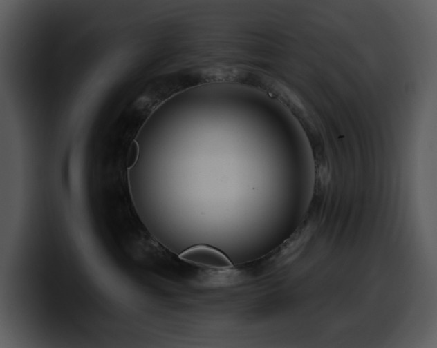 X0000100780429200806191306