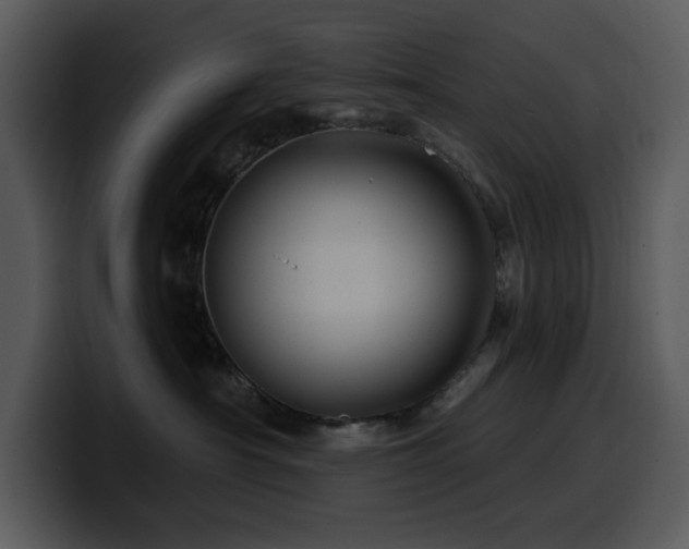 X0000100780430200806191306