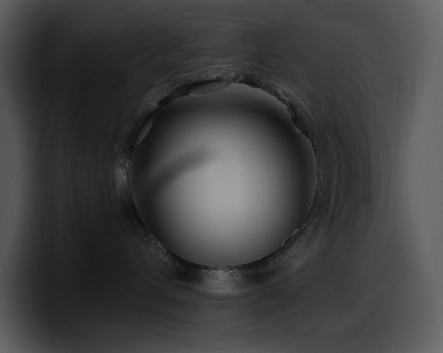 X0000100780432200806191306