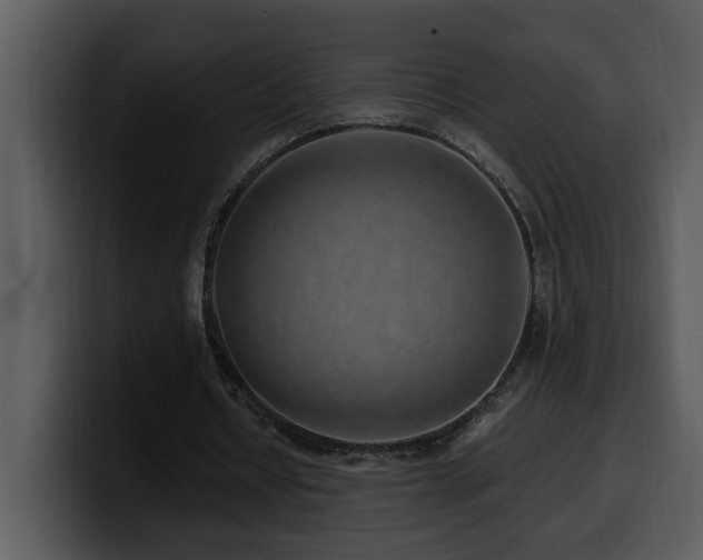 X0000100780434200806191306