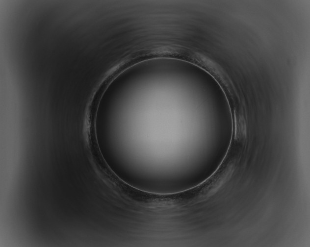 X0000100780435200806191306