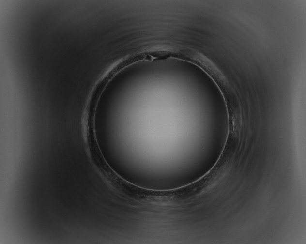 X0000100780436200806191306