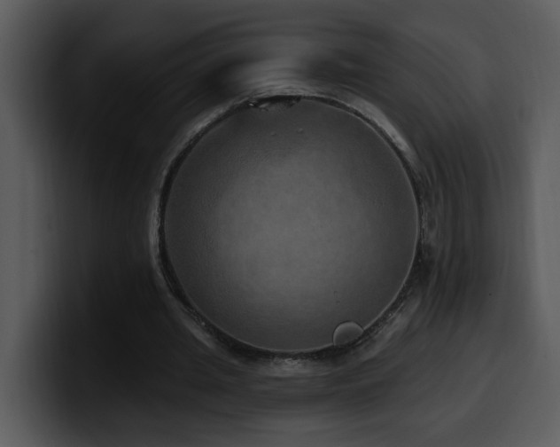 X0000100780437200806191306