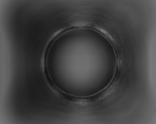 X0000100780438200806191306