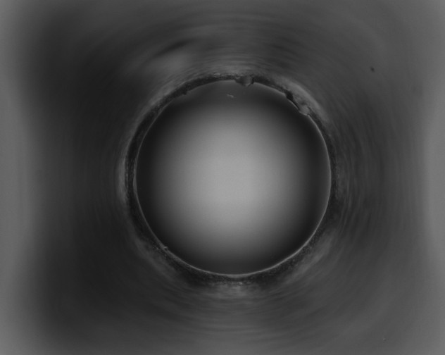 X0000100780439200806191306