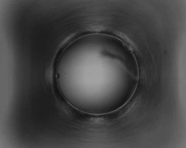 X0000100780440200806191306