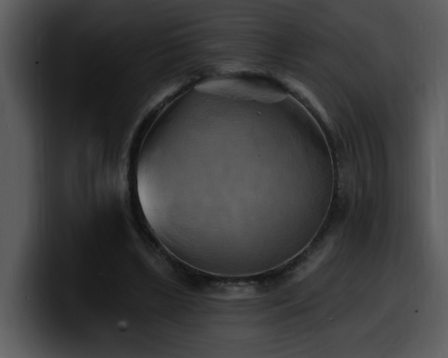 X0000100780443200806191306