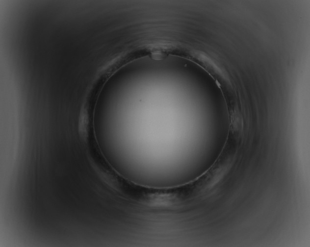 X0000100780448200806191306