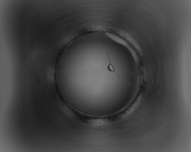 X0000100780449200806191306