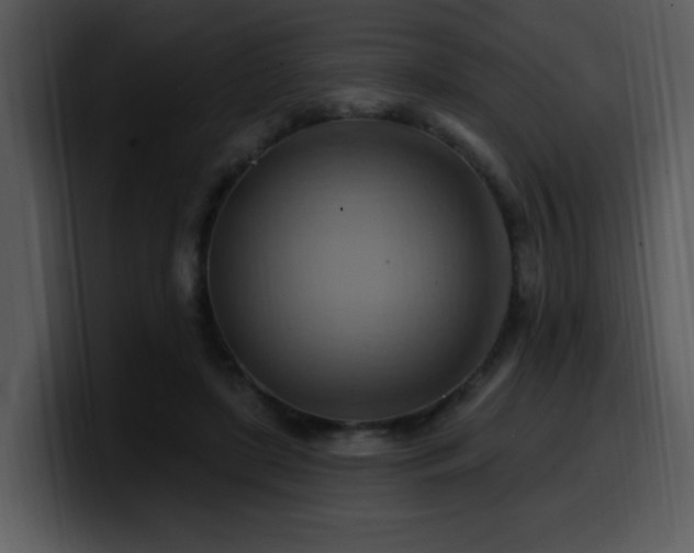 X0000100780451200806191306