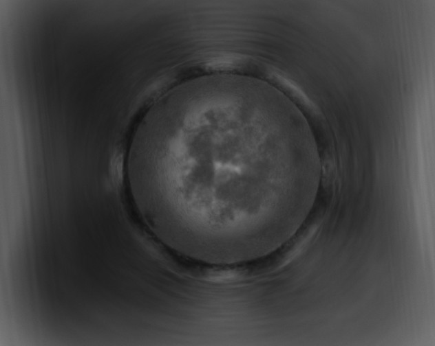 X0000100780454200806191306