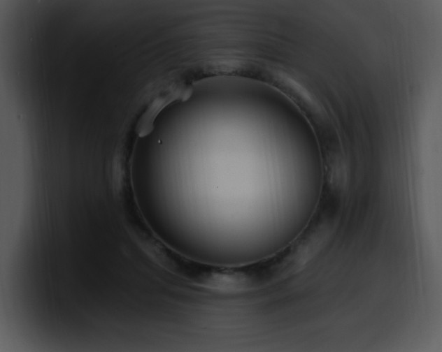 X0000100780455200806191306