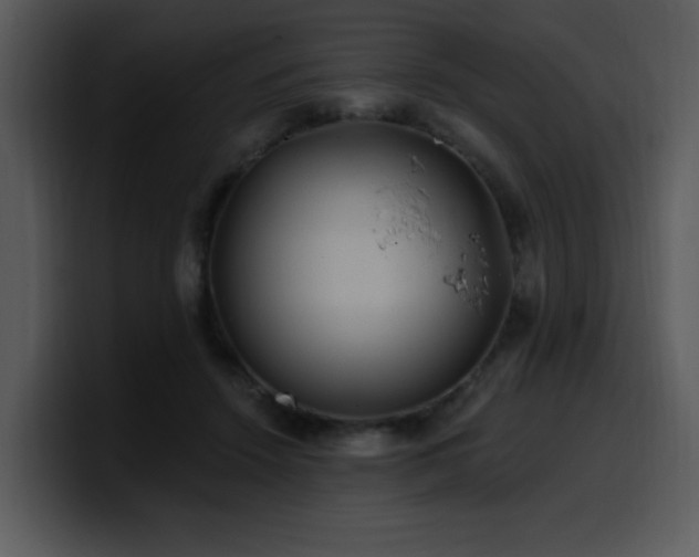 X0000100780456200806191306