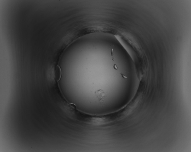 X0000100780457200806191306