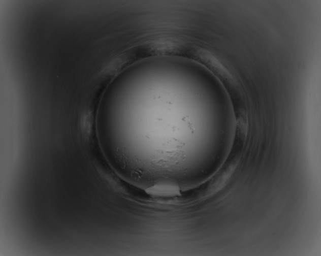 X0000100780458200806191306