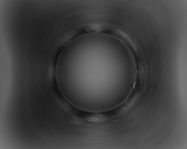 X0000100780459200806191306