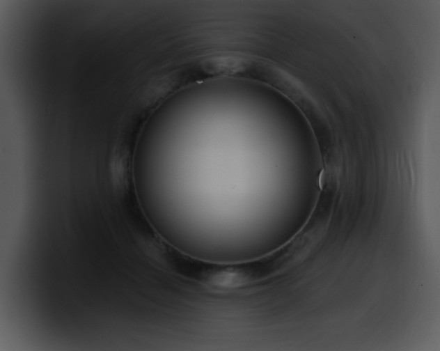 X0000100780460200806191306