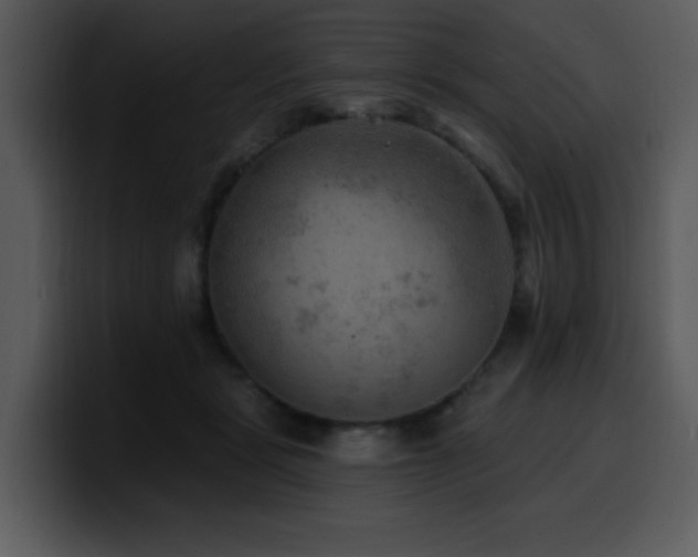 X0000100780461200806191306