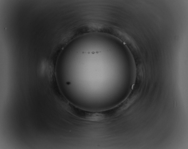 X0000100780463200806191306