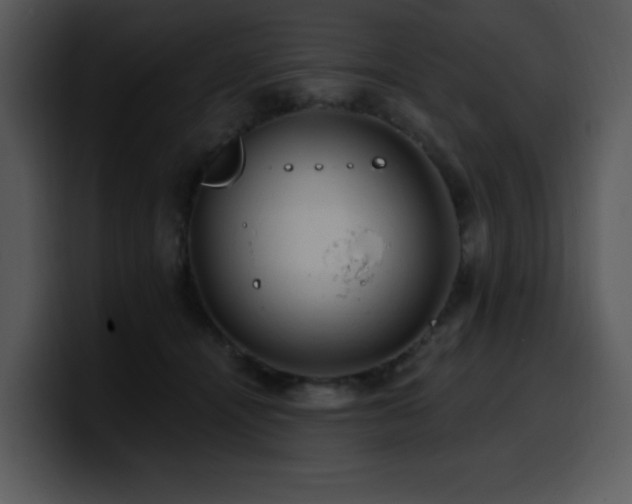 X0000100780464200806191306