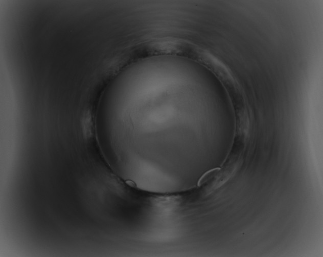 X0000100780465200806191306