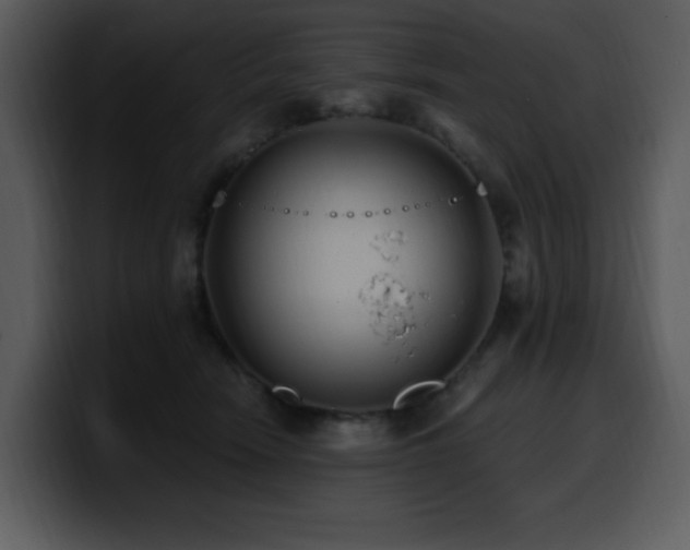 X0000100780466200806191306