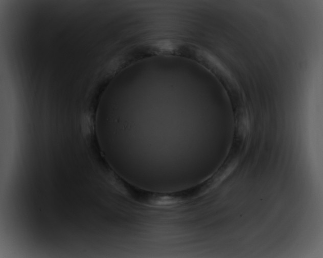 X0000100780467200806191306