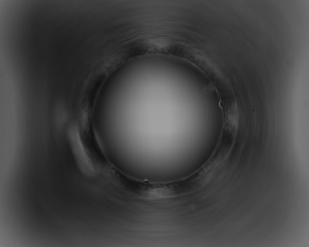 X0000100780468200806191306