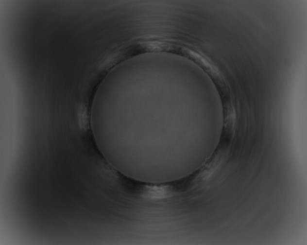 X0000100780469200806191306