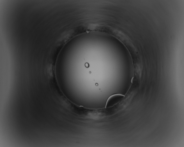 X0000100780470200806191306