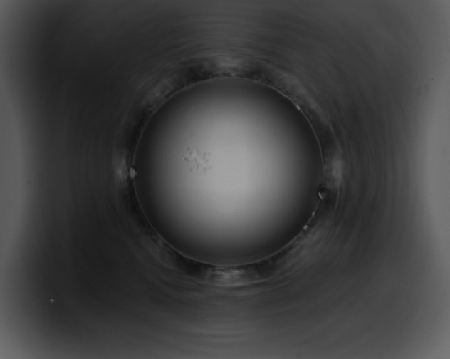 X0000100780472200806191306