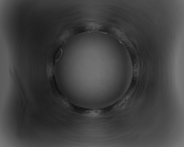 X0000100780474200806191306