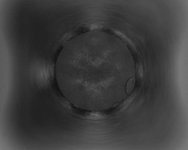 X0000100780475200806191306