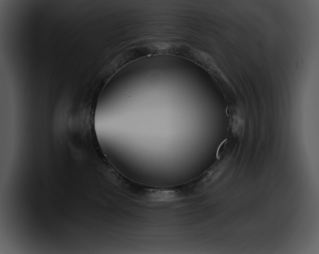 X0000100780476200806191306