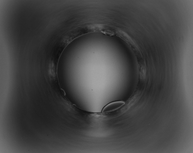 X0000100780477200806191306