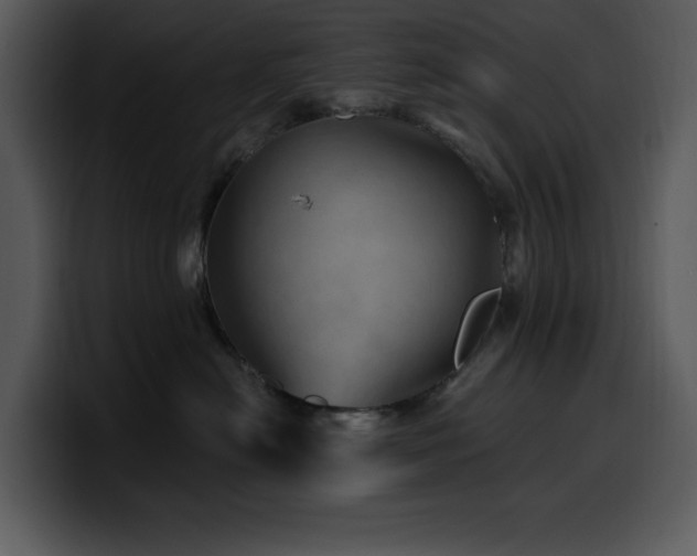 X0000100780478200806191306