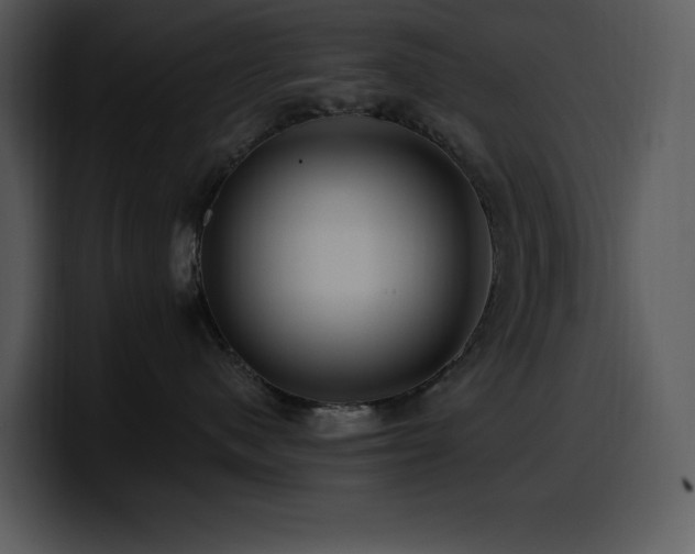 X0000100780480200806191306