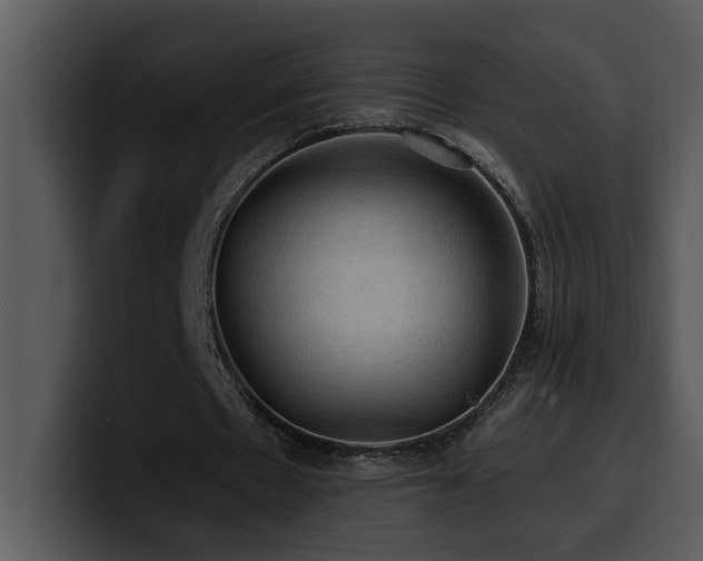 X0000100780481200806191306