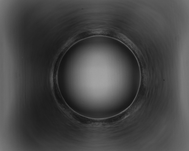 X0000100780482200806191306