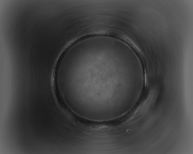 X0000100780483200806191306