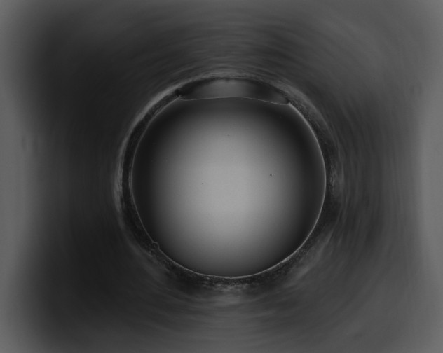 X0000100780484200806191306