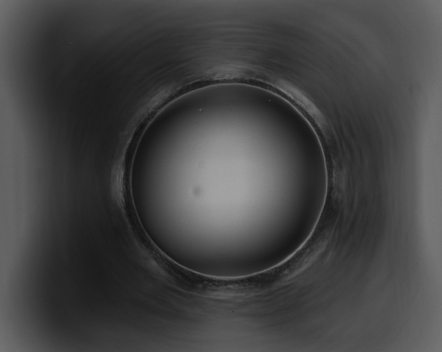 X0000100780485200806191306